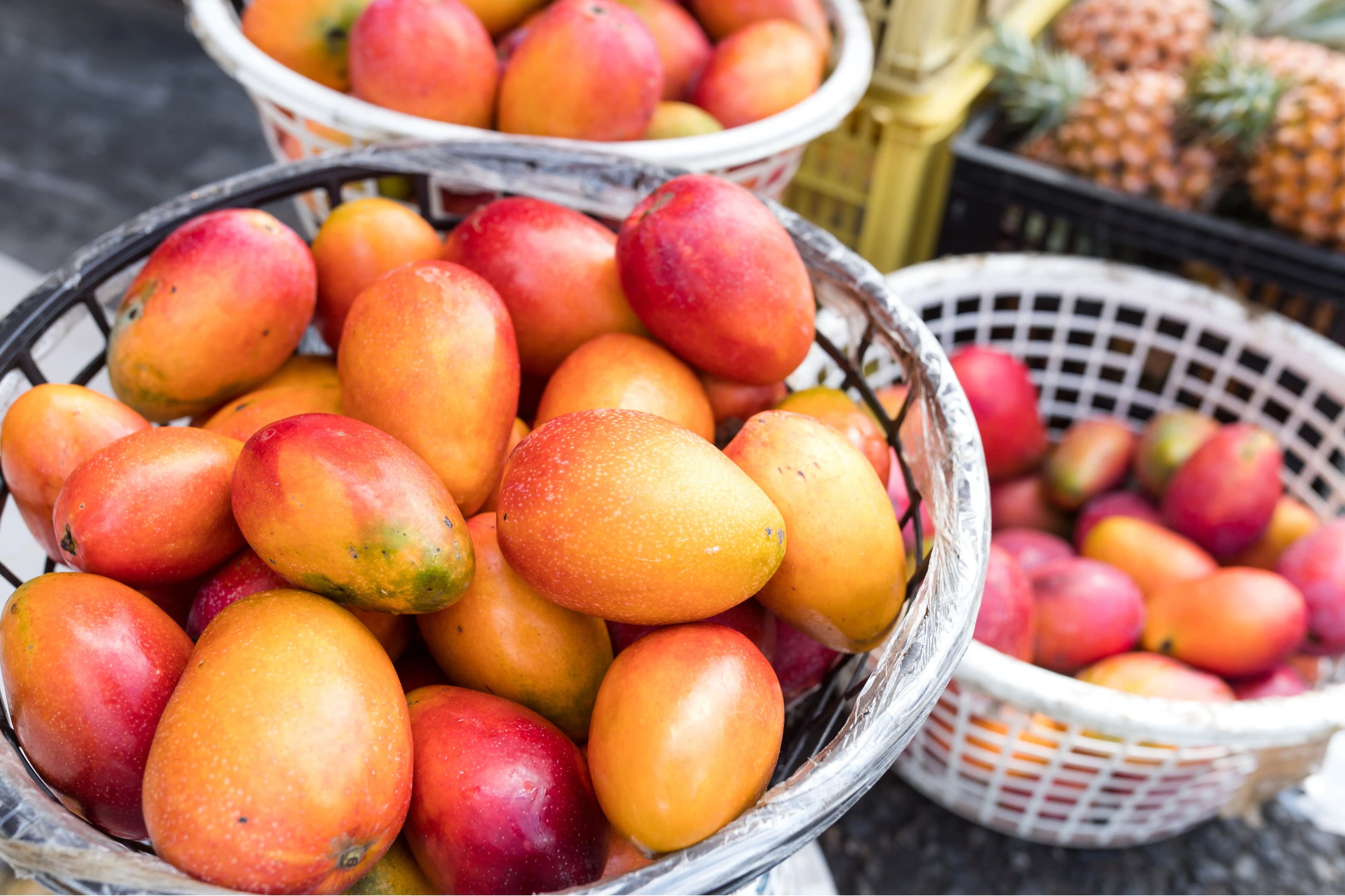Festival Bunga & Buah Karo